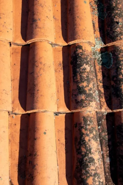 Nettoyage de toiture à Dardilly, Déno Com