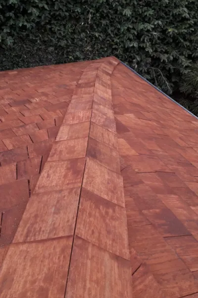 Démoussage de toiture à Lyon, Déno Com